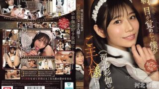 SONE-817 หนังโป๊ฝันเป็นจริงตื่นมาเจอไซกะเป็นสาวใช้ Saika Kawakita